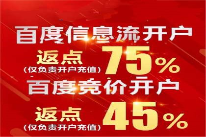 百度推广服务费案例：如何利用预算最大化效果